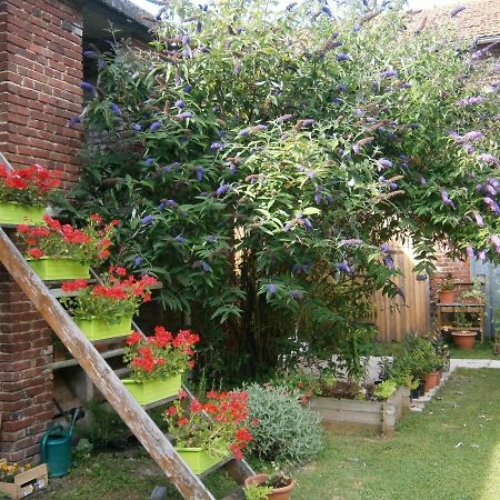 Aux Sources De L'Ancre Bed & Breakfast Miraumont Dış mekan fotoğraf