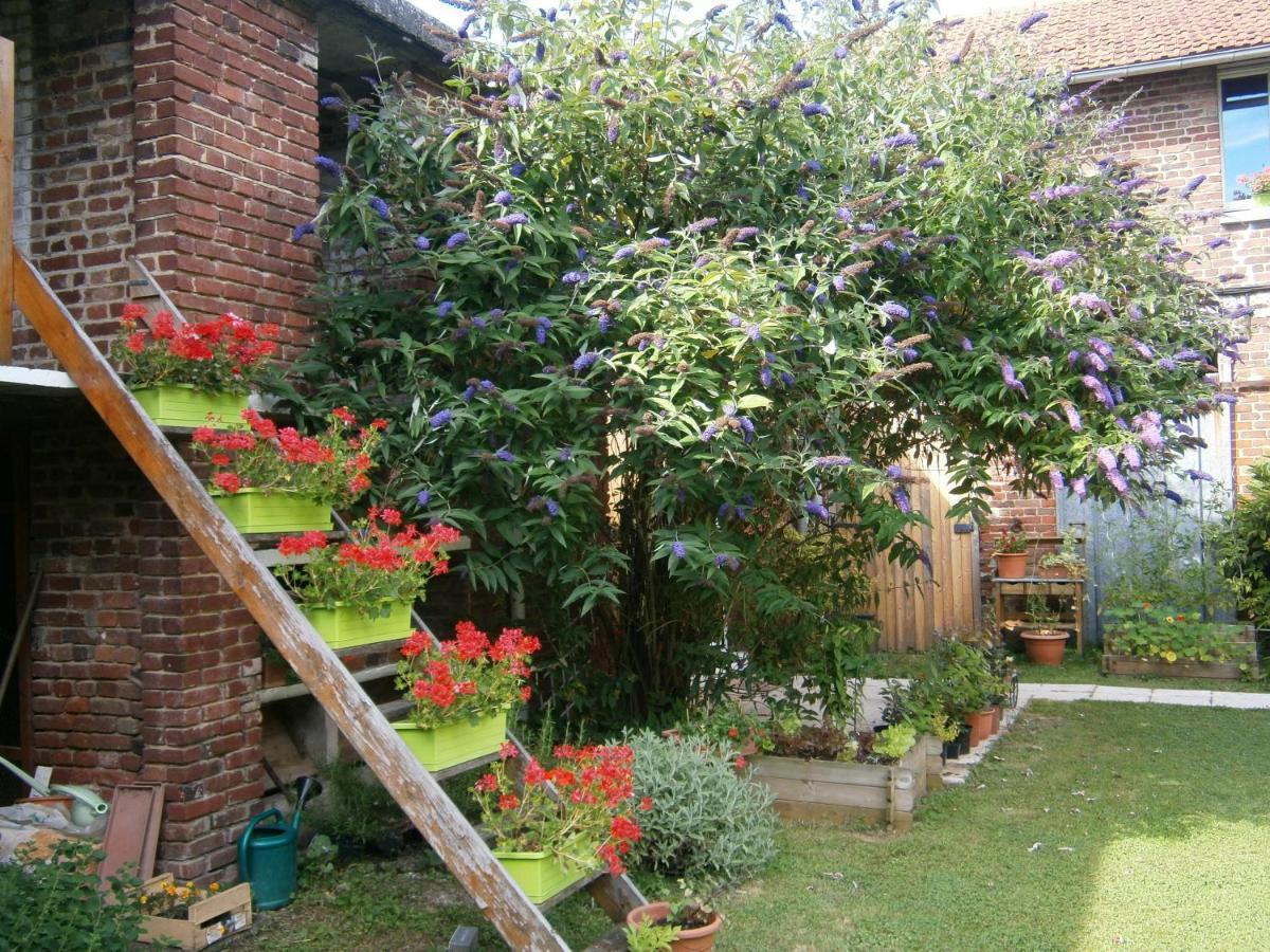 Aux Sources De L'Ancre Bed & Breakfast Miraumont Dış mekan fotoğraf